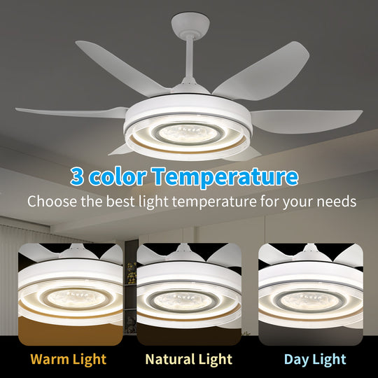4E4A2954 Remote Control 6 Blades Indoor Modern Ceiling Fan