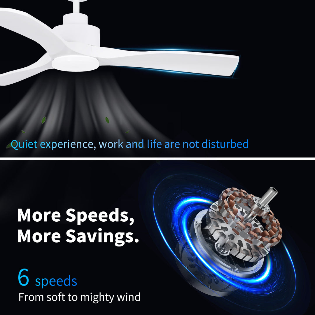 CF42101 Indoor Remote Ceiling Fan