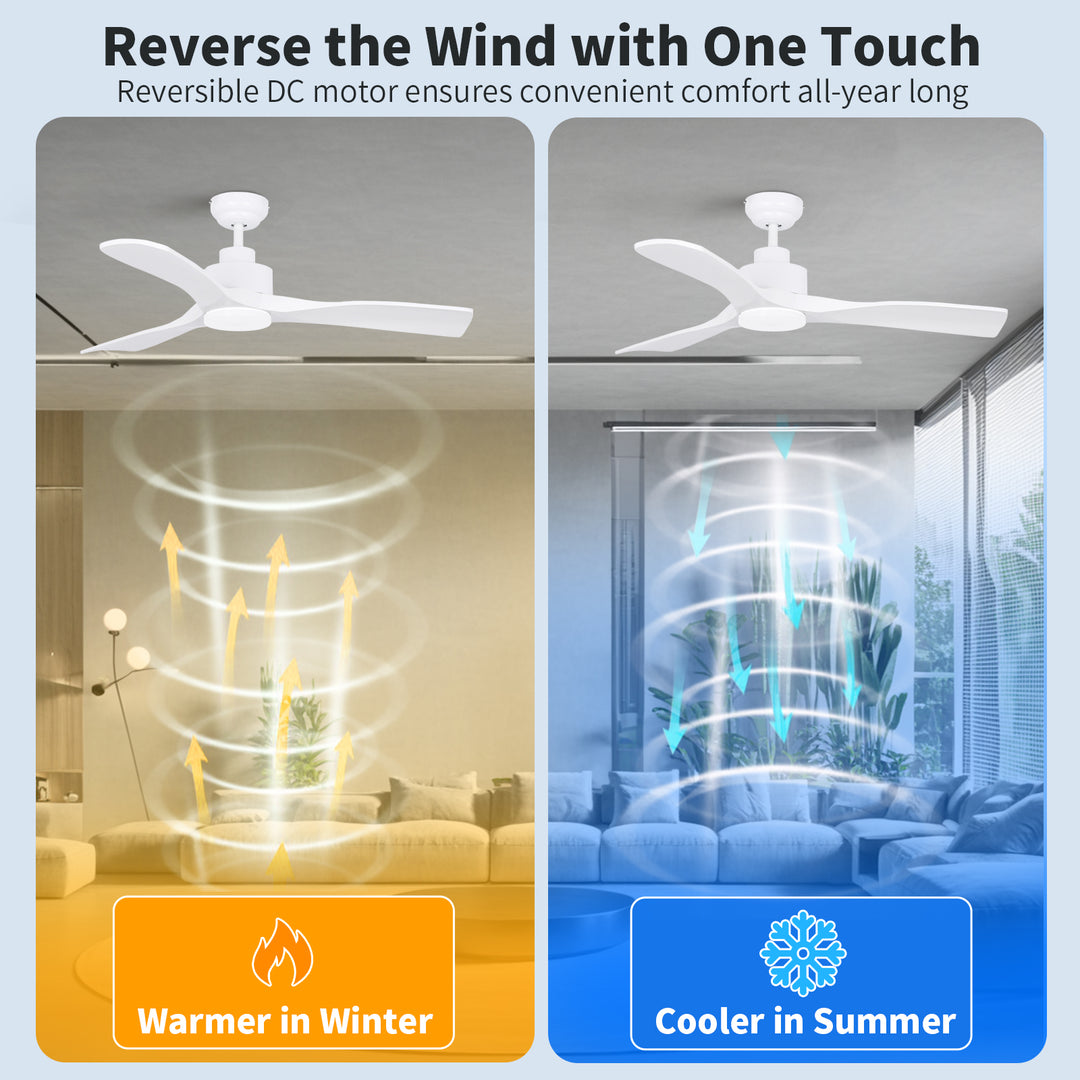 CF42101 Indoor Remote Ceiling Fan