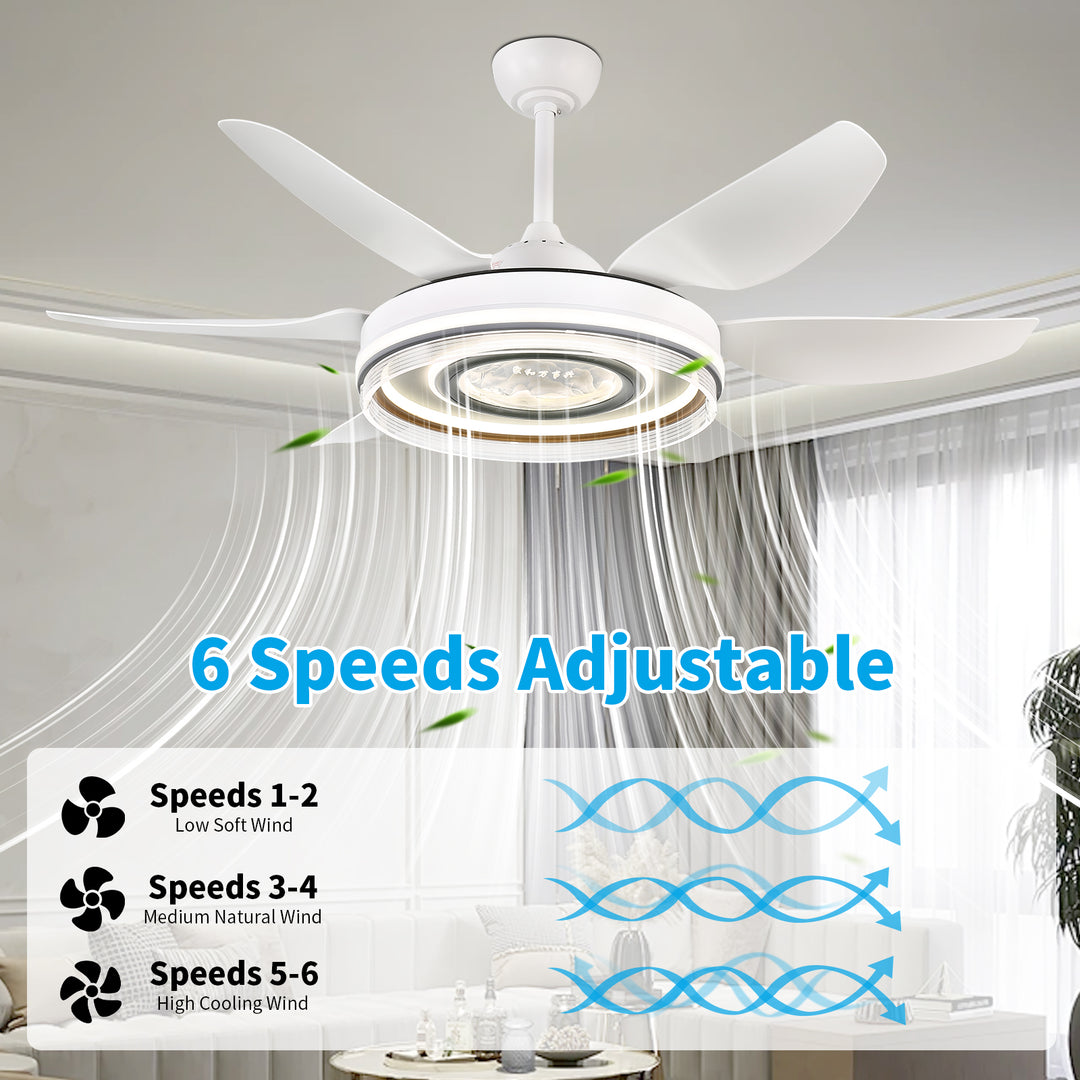 4E4A2954 Remote Control 6 Blades Indoor Modern Ceiling Fan