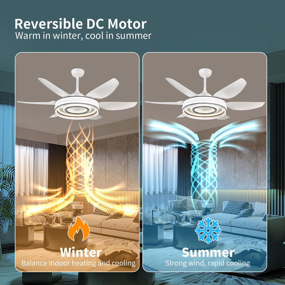 4E4A2954 Remote Control 6 Blades Indoor Modern Ceiling Fan