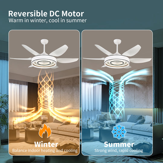 4E4A2954 Remote Control 6 Blades Indoor Modern Ceiling Fan