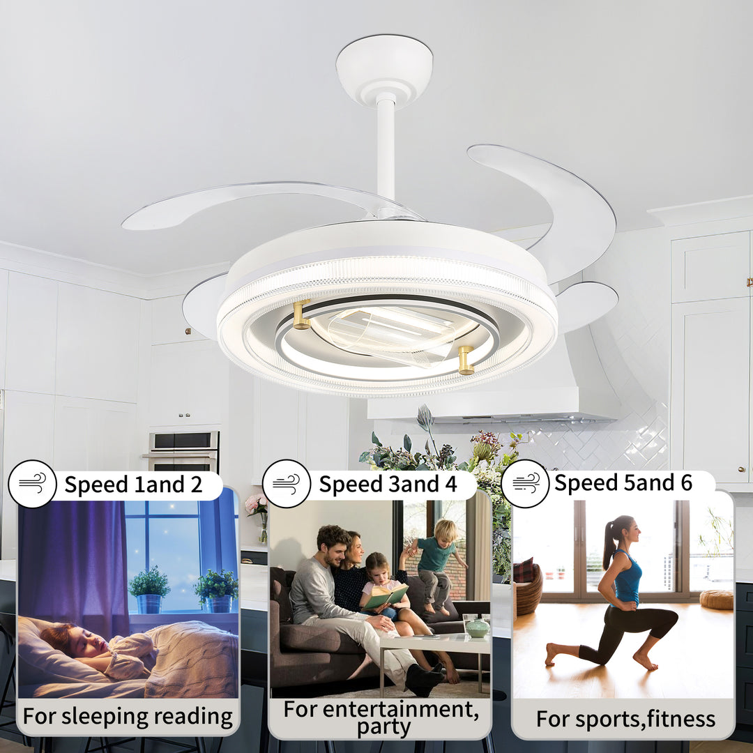 4E4A2929 4 Blades Indoor Remote Control Ceiling Fan