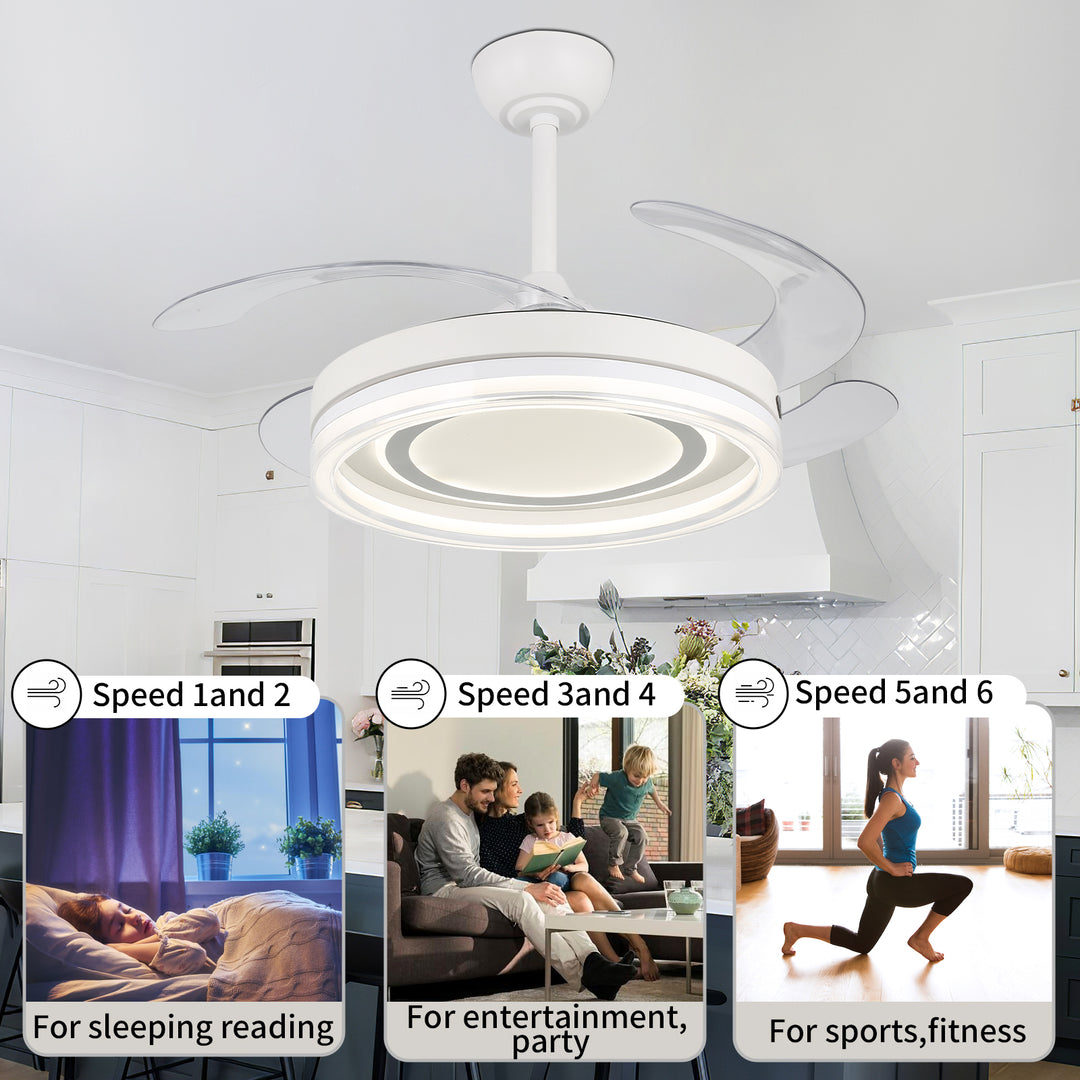 4E4A2910 4 Hidden Blades Remote Control Ceiling Fan
