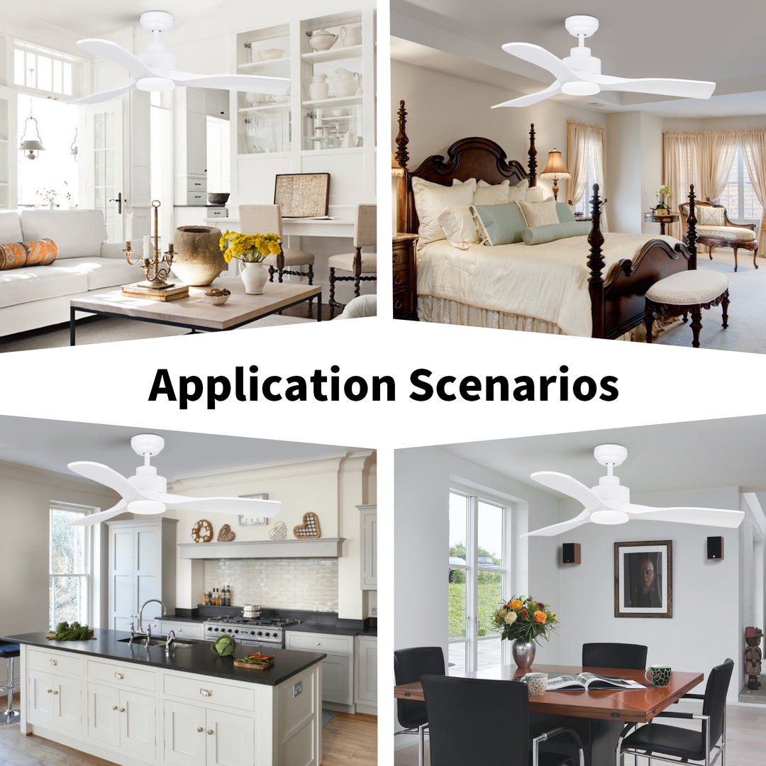 CF42101 Indoor Remote Ceiling Fan