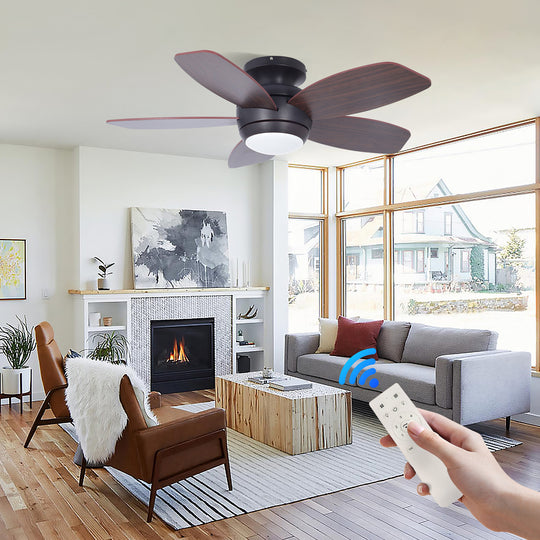 MGN25002 ceiling fan with light