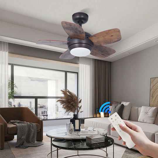 MGN24038 mini ceiling fan with light