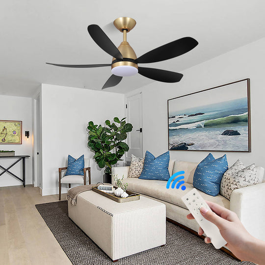MGN24001-BG Black Dimmable Light Ceiling Fan