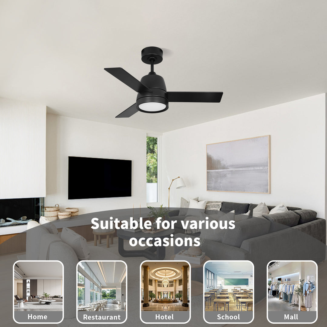 MGN25016 Mini 36 Inch Black Wall Control Ceiling Fan