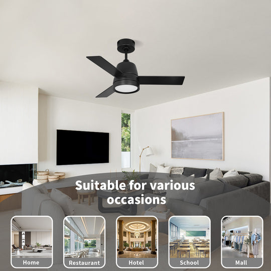 MGN25016 Mini 36 Inch Black Wall Control Ceiling Fan