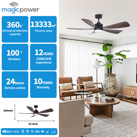 MGN25009-BK 5 ABS Blades Outdoor Ceiling Fan WIth LIght