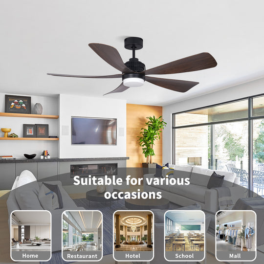 MGN25009-BK 5 ABS Blades Outdoor Ceiling Fan WIth LIght