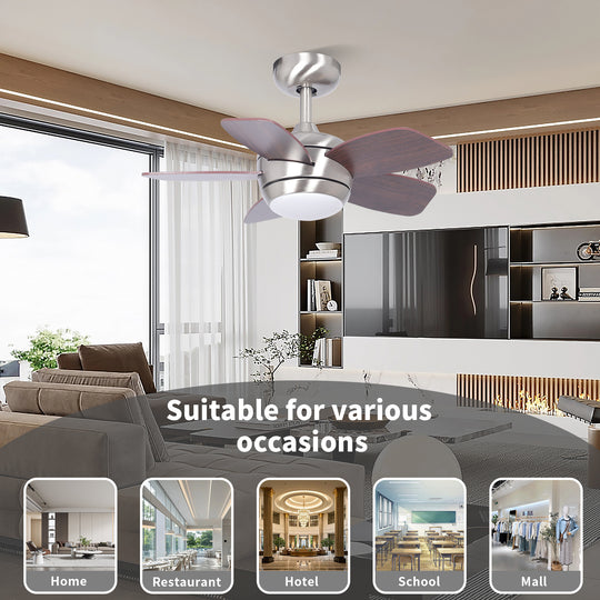 MGN24038-BN Mini Ceiling Fan With Light