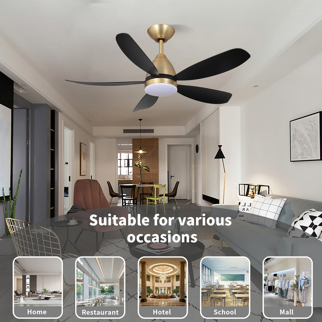 MGN24001-BG Black Dimmable Light Ceiling Fan