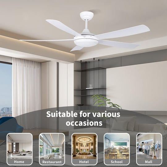 MGN25008 ceiling fan with light