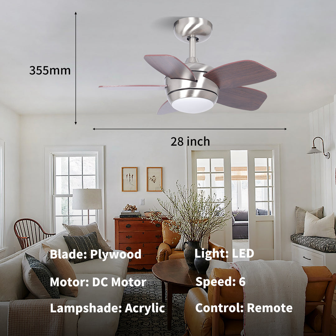 MGN24038-BN Mini Ceiling Fan With Light