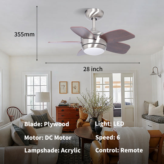 MGN24038-BN Mini Ceiling Fan With Light