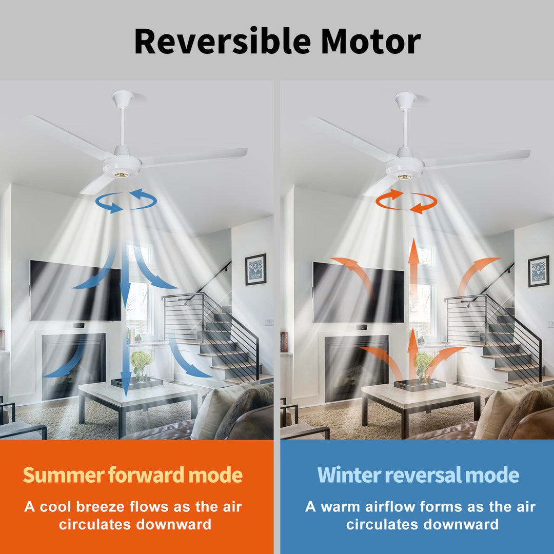 WL-B5622 Big Size 56 Inch White Modern Ceiling Fan