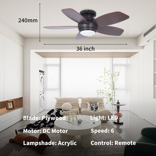MGN25002 ceiling fan with light