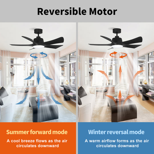 MGN25010 Simple Black Indoor Remote Control Ceiling Fan