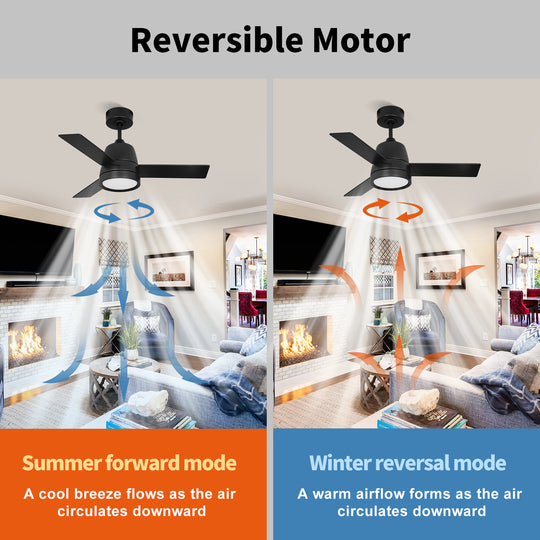 MGN25016 Mini 36 Inch Black Wall Control Ceiling Fan