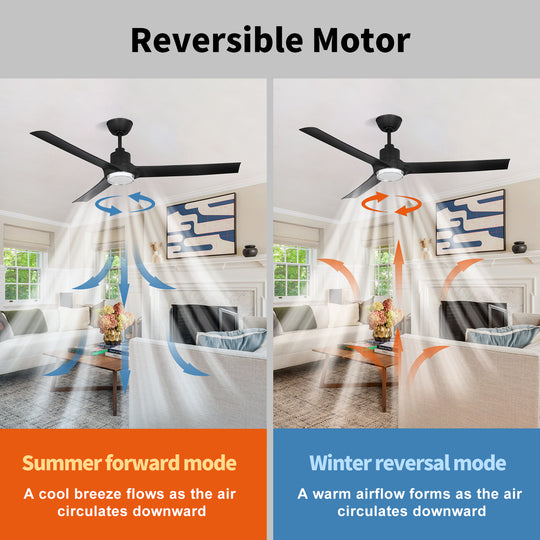 MGN25015-PBK Modern Black Remote Control 52 Inch Ceiling Fan