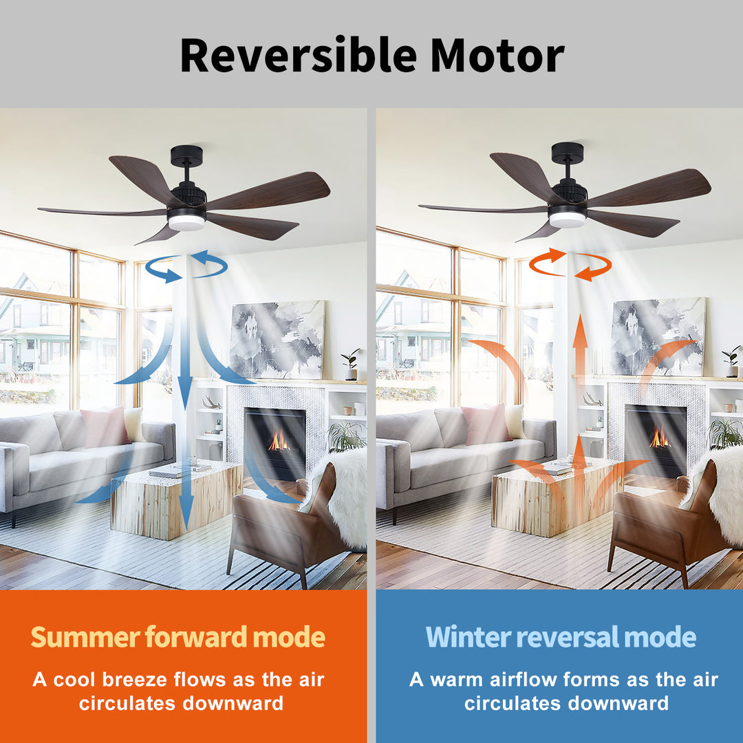 MGN25009-BK 5 ABS Blades Outdoor Ceiling Fan WIth LIght