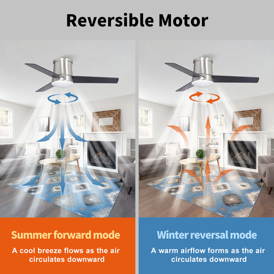 MGN24041 Flush Mount DC Motor Ceiling Fan With Light