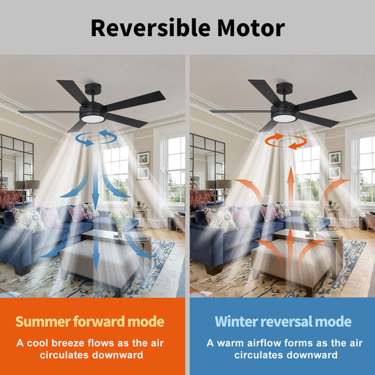 CF52585 Modern Black Plywood Blades Decorative Ceiling Fan