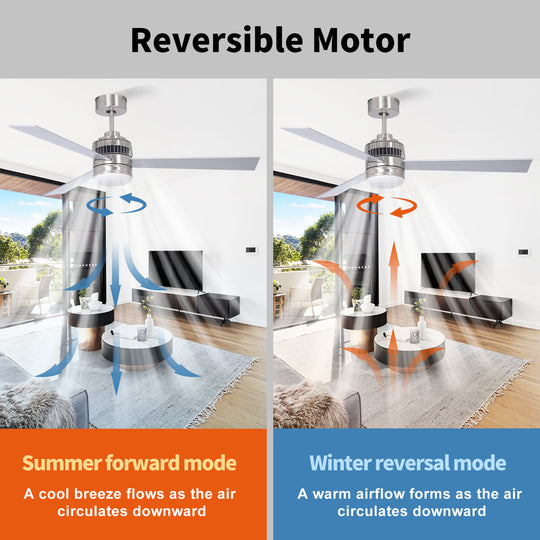 MGN24039 Stain Nickel Dimmable Light Ceiling Fan