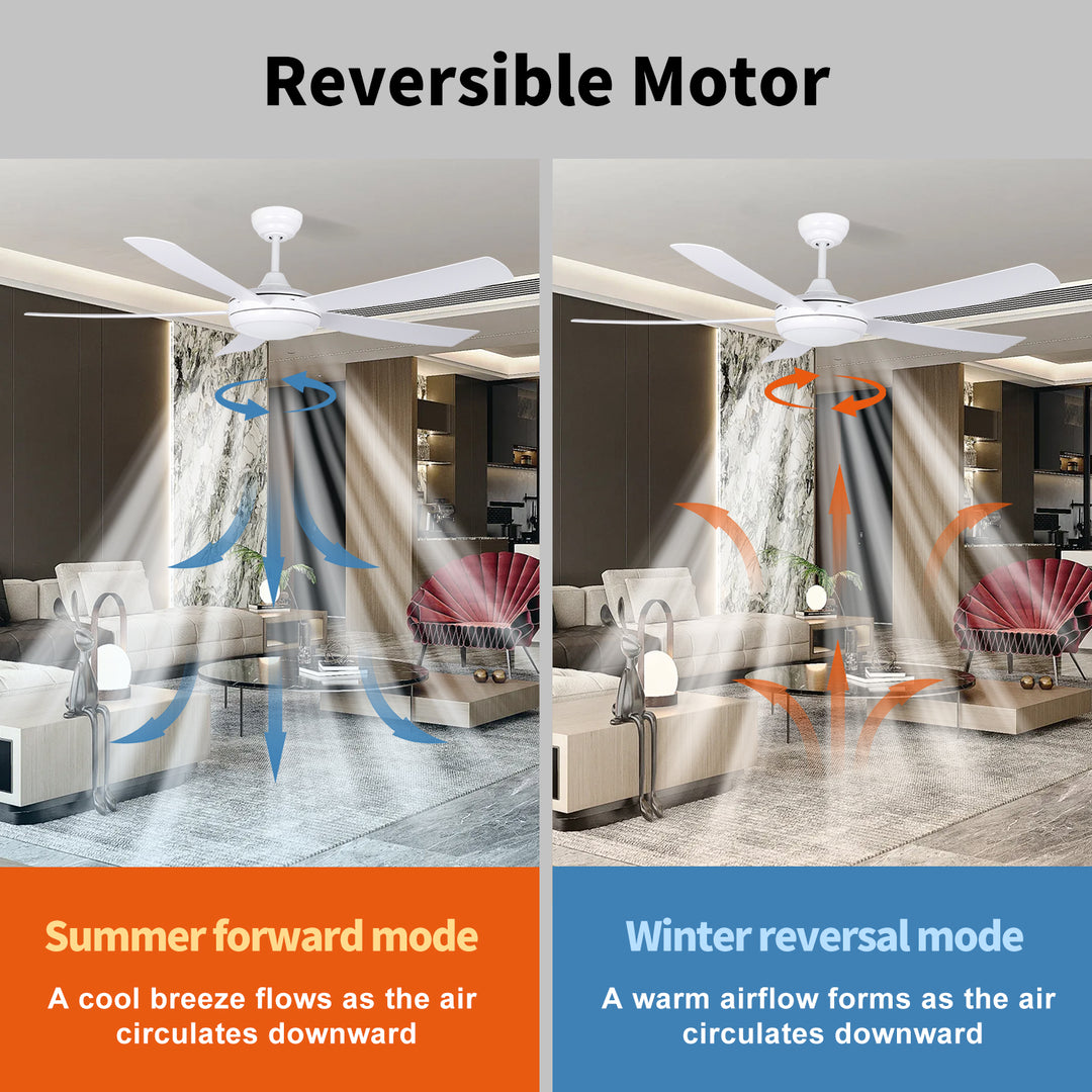MGN25008 ceiling fan with light