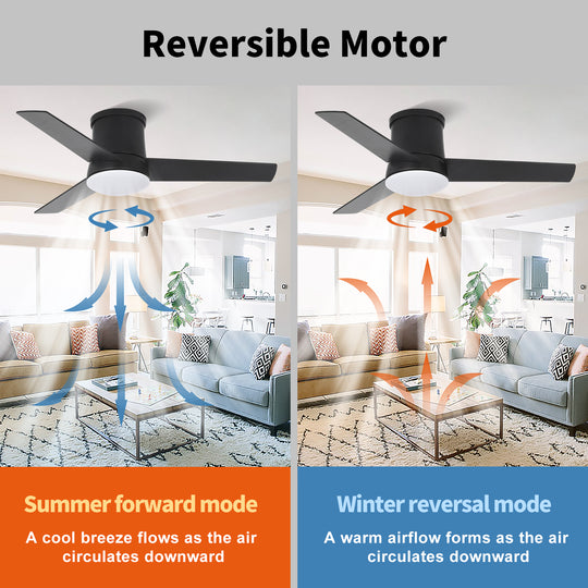 MGN24041 Flush Mount Ceiling Fan With Light