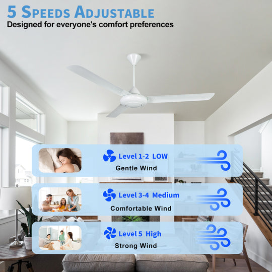 WL-B5617 Indoor 56 Inch Home Ceilng Fan