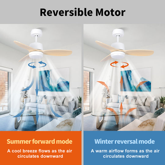 MGN24003-WH White Remote Control Ceiling Fan