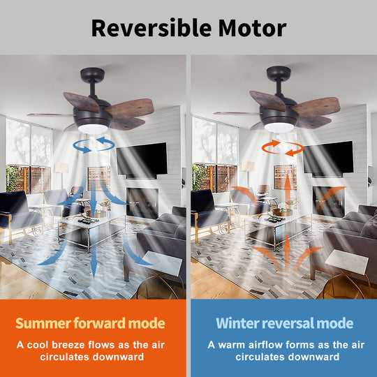 MGN24038 mini ceiling fan with light