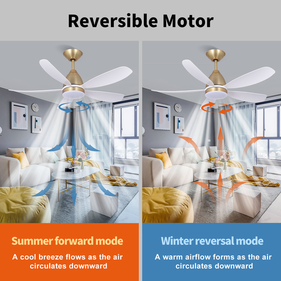 MGN24001-WG White ABS Blades 38 Inch Ceiling Fan