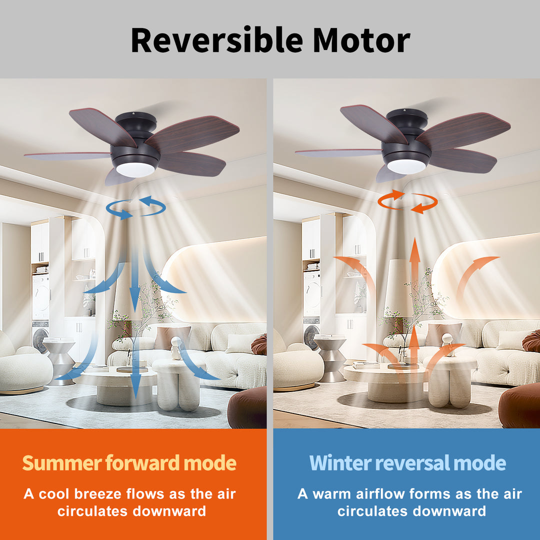 MGN25002 ceiling fan with light