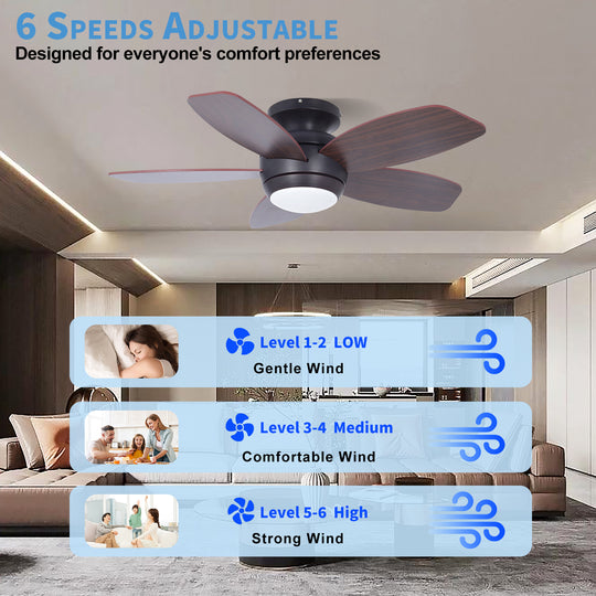 MGN25002 ceiling fan with light
