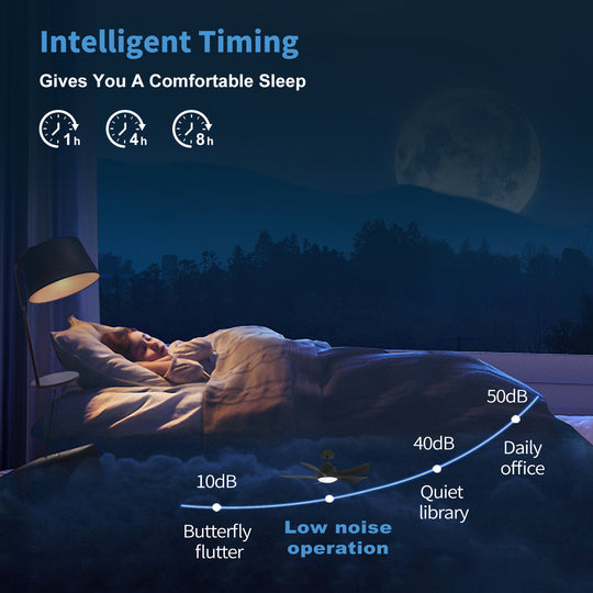 MGN25010 Simple Black Indoor Remote Control Ceiling Fan