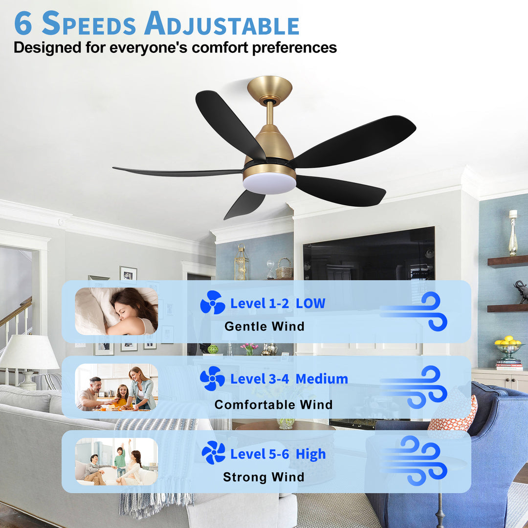MGN24001-BG Black Dimmable Light Ceiling Fan