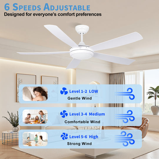 MGN25008 ceiling fan with light