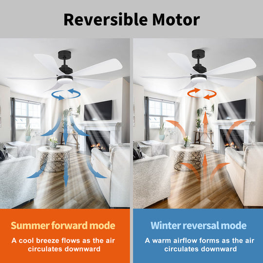 MGN25009 Modern White Remote Control Decorative Ceiling Fan