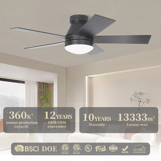 CF42902 Noiseless 5 Plywood Blades Ceiling Fan Remote Control