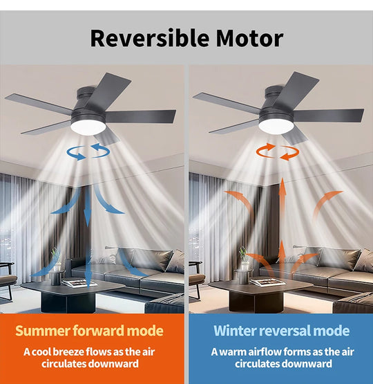 CF42902 Noiseless 5 Plywood Blades Ceiling Fan Remote Control