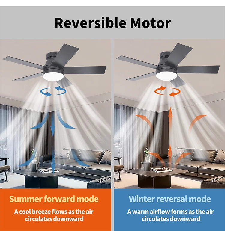 CF42902 Noiseless 5 Plywood Blades Ceiling Fan Remote Control