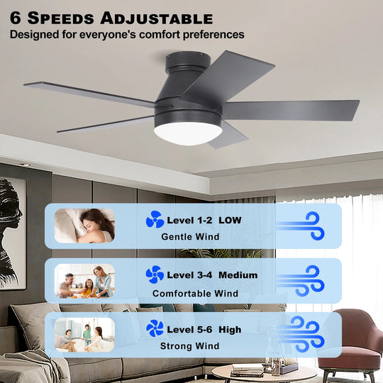 CF42902 Noiseless 5 Plywood Blades Ceiling Fan Remote Control